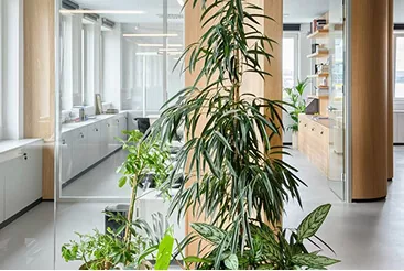 Contact with nature in hospitals