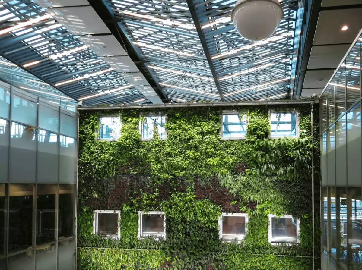 Conheça o processo ecológico de preservação de plantas para jardins verticais